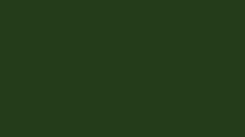 1K RAL 6009 Tannengrün
