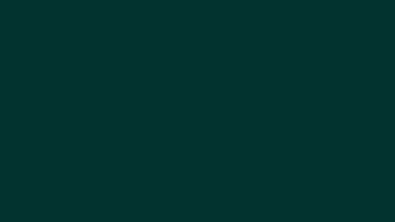 1K RAL 6012 Schwarzgrün