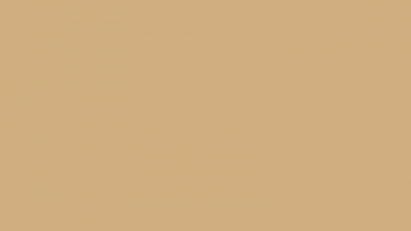 RLM Luftwaffe Camouflage Chips/Swatches-Where to Purchase Them ...