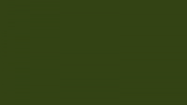 1K FS 34094 Green 383 für Fahrzeuge der US Army | MILITÄRLACKE.DE